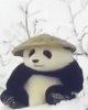 一